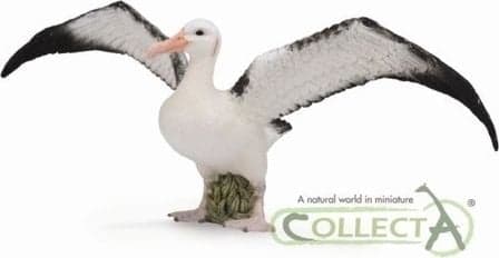Collecta Vedrova Albatross-figur