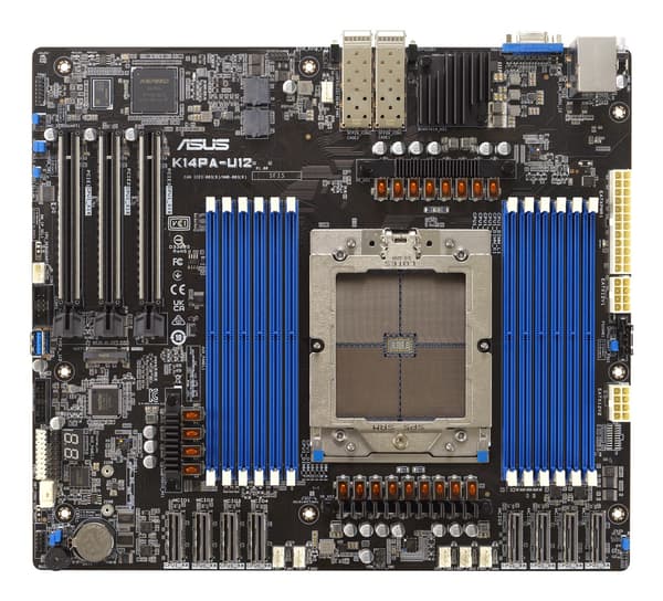 ASUS K14PA-U12 - bundkort - SSI CEB - AMD uden CPU - Socket SP5
