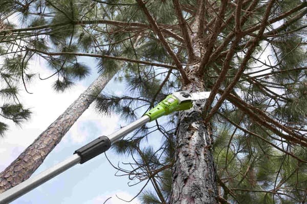 Moottorisaha Greenworks G40PSF 40 V 20 cm