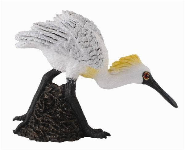 Collecta-hahmo LINTU WARZECHA MALA IDACA