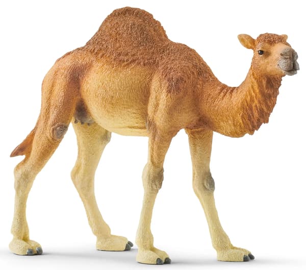Schleich Wild Life 14832 Dromedary