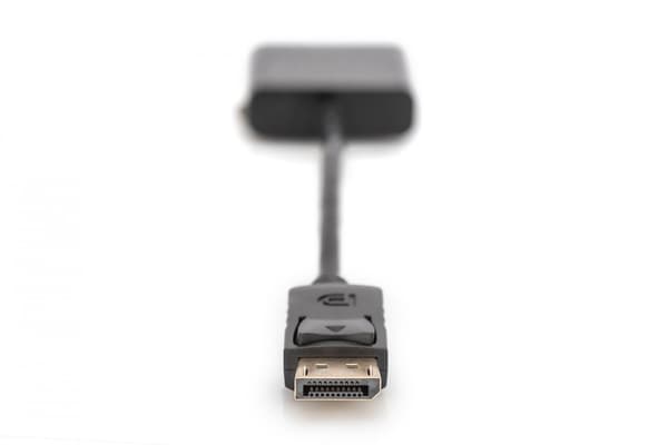 DIGITUS DisplayPort adapterkabel - DisplayPort/DVI - 15 cm