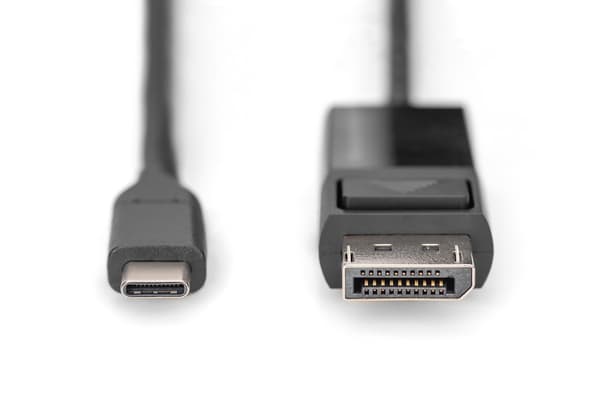 DIGITUS videoadapterkabel AK-300334-020-S - USB-C / DisplayPort - 2 m