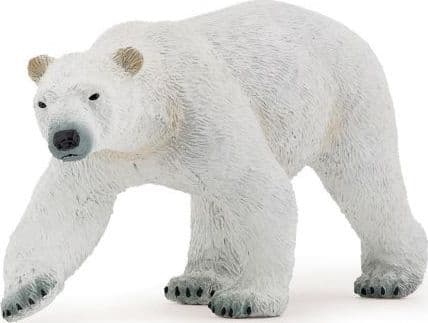 Isbjörn