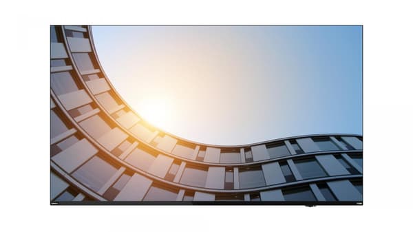 Lenovo ThinkVision ILFD E65 (65\") 4K UHD HDMI/DP/USB-C (toimitus huolitsijan kautta)