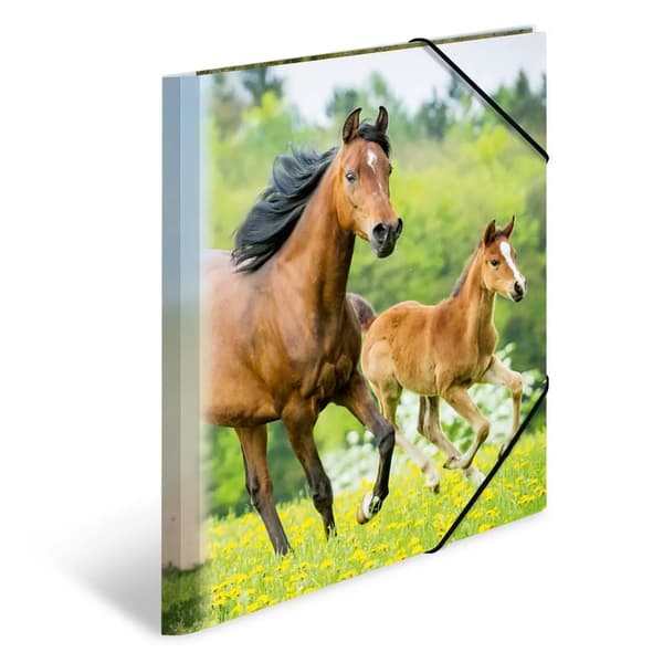 Herma Mappe A4 (7140)