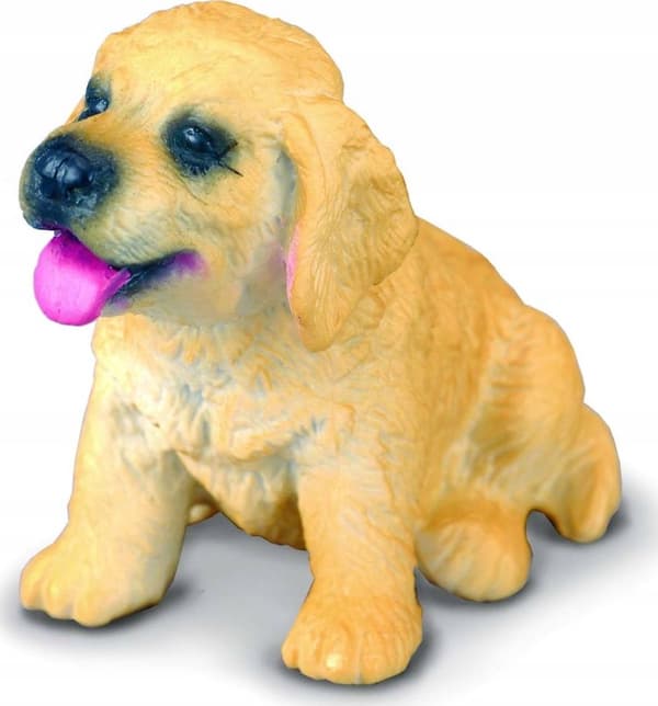 Hundvalp golden retriever