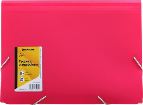 Salkku lokeroilla A4 PP-104 pinkki PENMATE