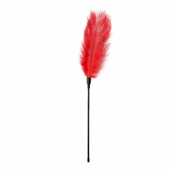 Feather Snap Feather Snap Reverse Game