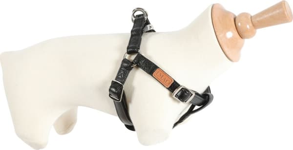 Zolux Sele IMAO PICCADILLY 20 mm farve sort
