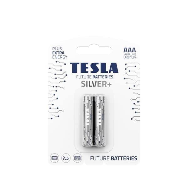 TESLA AAA SILVER+ [2x120]
