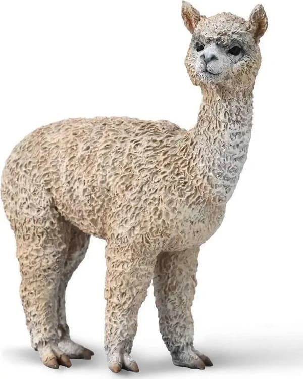 Alpaca 88960 COLLECTA