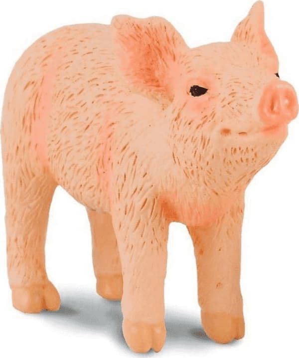 Collecta hirssihahmo pachnace