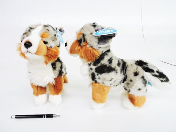 Australian Shepherd Stående 30cm