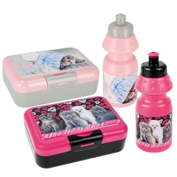 Pullo 350ml + aamiaislautanen Kissa