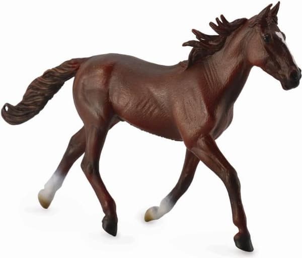 Kon standardbred pacer. COLLECTA