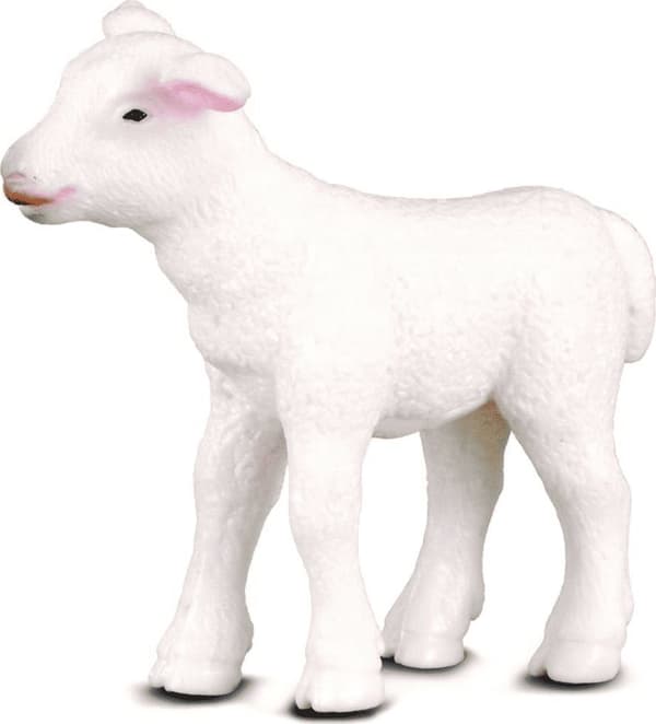 Stående lamm