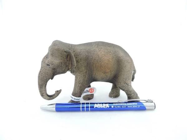 Schleich Wild Life - Asiatisk elefant,