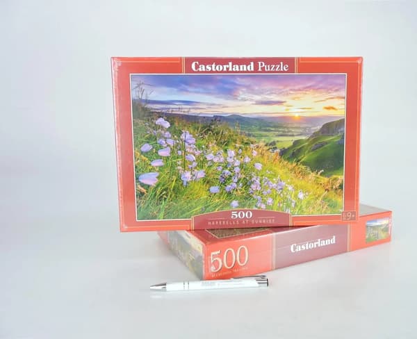 Palapeli 500 Sinikellot auringonnousussa CASTOR
