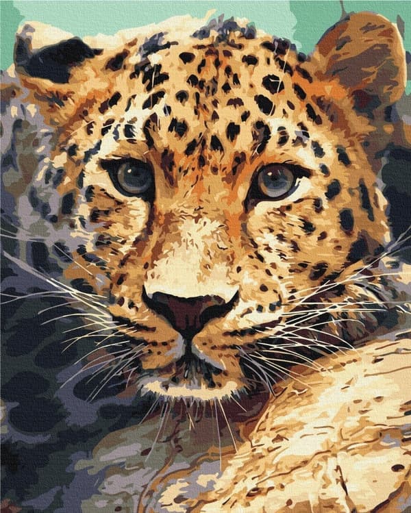 Pegasus Elliot Mackenzie Publishers Paint it! BS51736 Cheetah