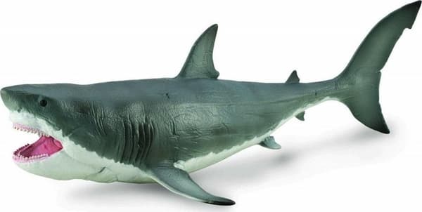 Megalodon