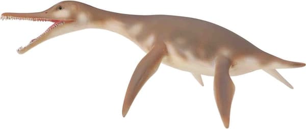Collecta Dinosaur Dolichorhynchops -hahmo (004-88520)