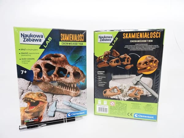 Videnskabelig sjov. Fossiler. T-Rex kranie
