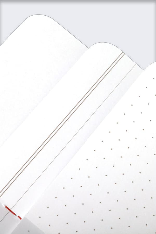 Field Notes Forår 2024 Flora Edition Mix