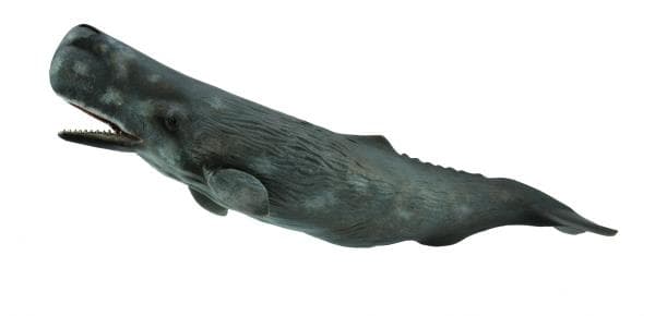 Collecta KASKELOTTI-hahmo