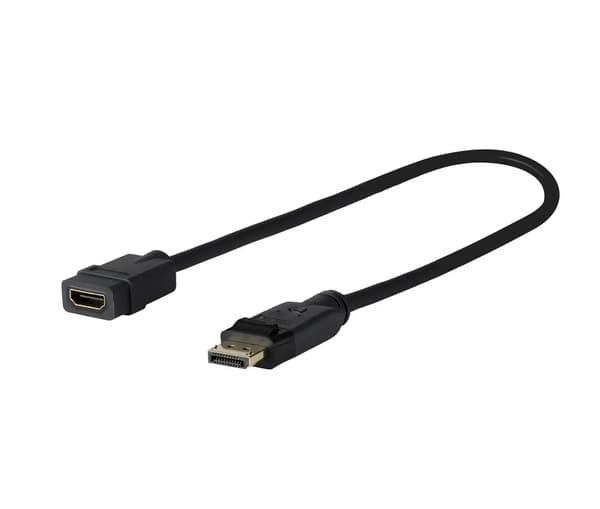 VivoLink Pro HDMI adapter - DisplayP