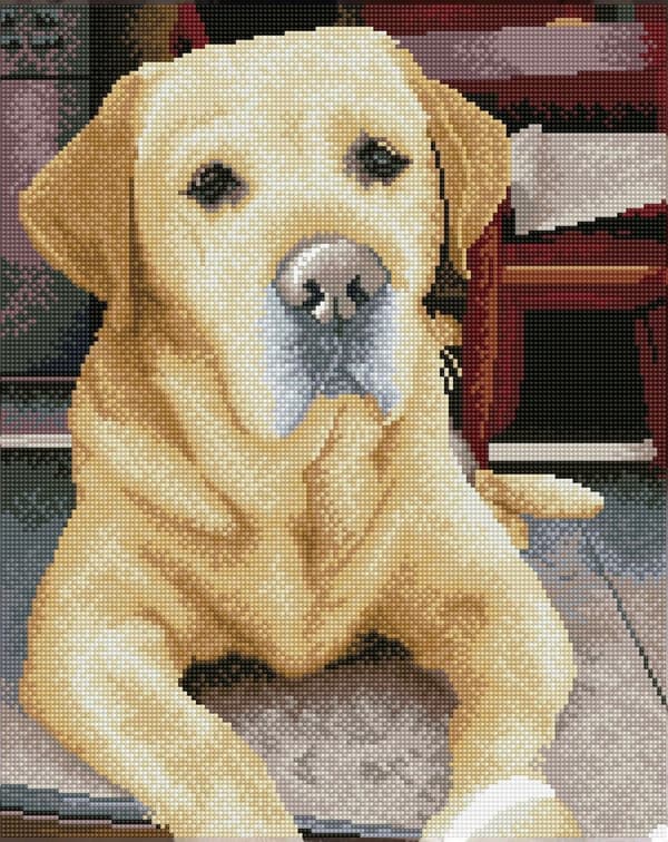 Diamantbroderi Diamond Dotz Diamond Mosaic Labrador King 48x58cm DQ10027
