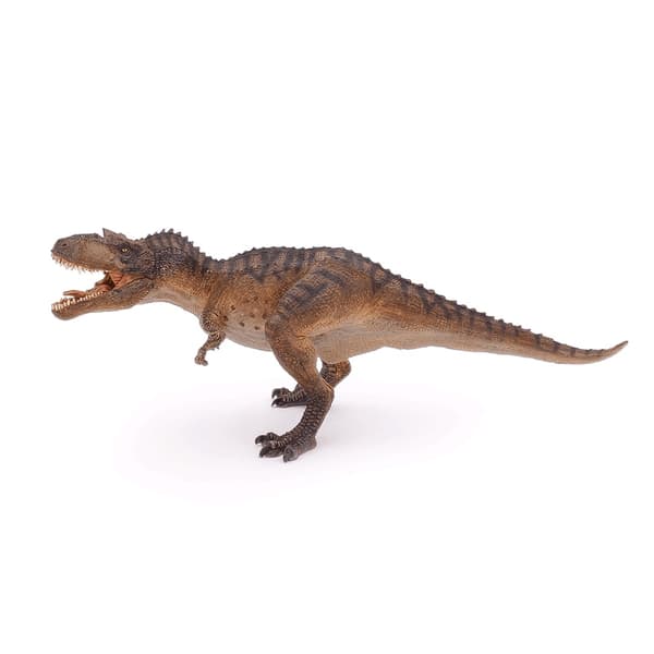Gorgosaurus