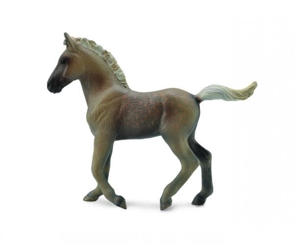 Rocky Mountain Breed Zrebie