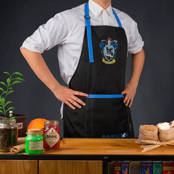 Harry Potter Ravenclaw -esiliina