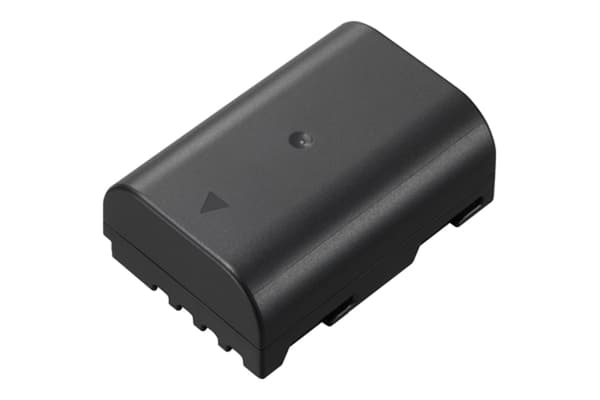 Panasonic DMW-BLF19E