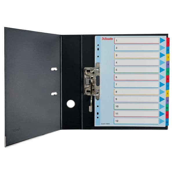 Esselte Ringbindsholdere til A4 Mylar med beskrivende side 1-31 (10K200C)