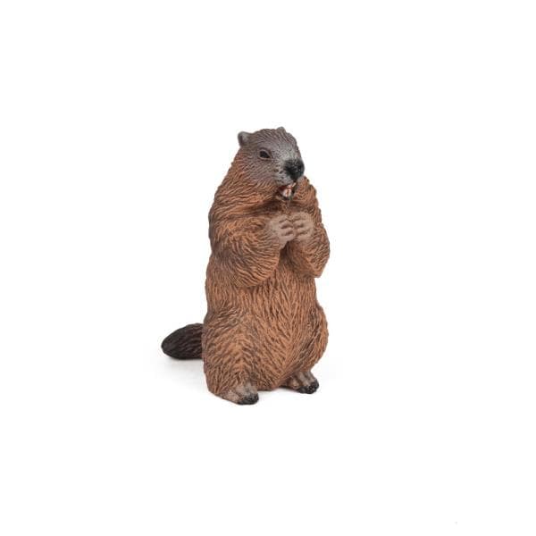 Swistak