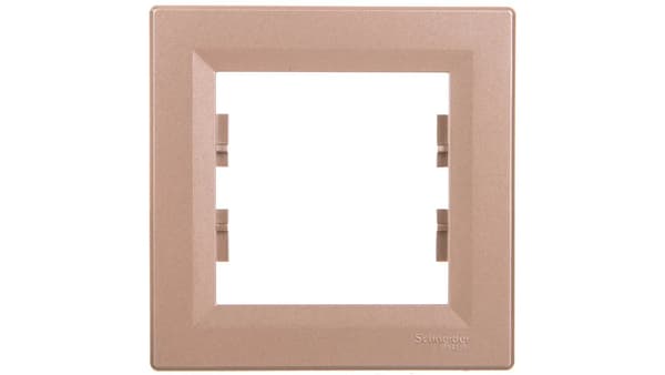 Schneider Electric 1-faldig mässingsram (EPH5800169)