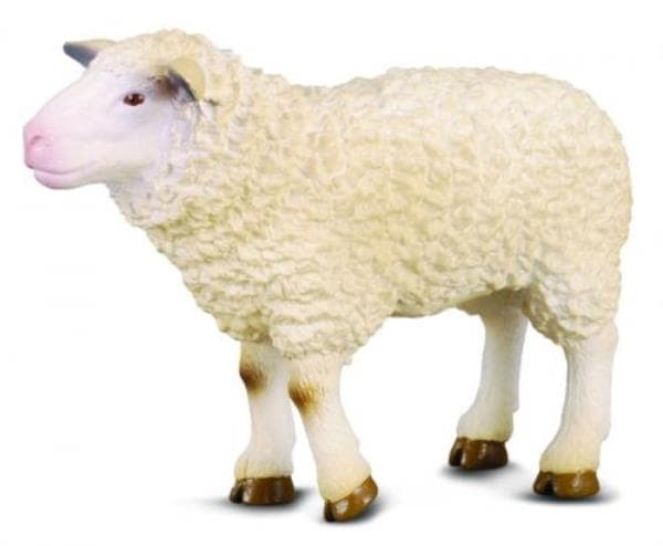 Lammas
