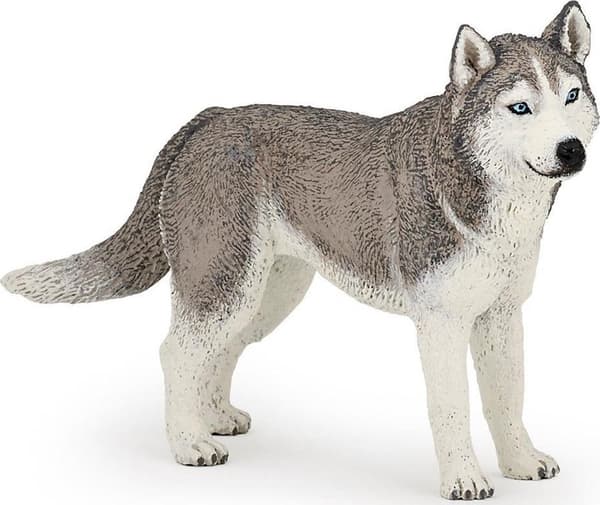 Siperianhusky