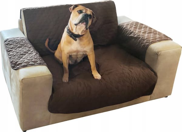 ProGarden Soffskydd för hund, 226 x 188 cm