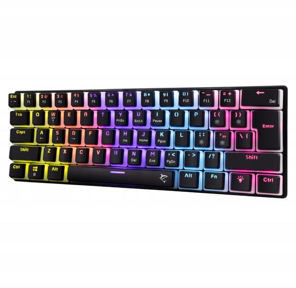 White Shark Ashiko-2 sort US