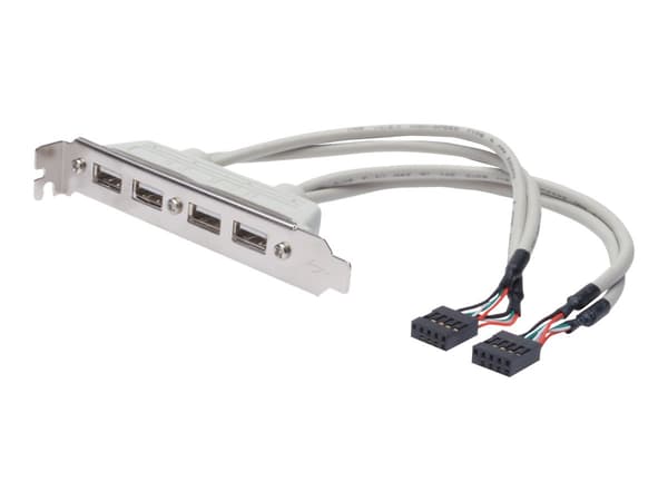 DIGITUS USB-kortplatskabel - 2 x USB Typ-A/2 x IDC (10-stift) - 25 cm