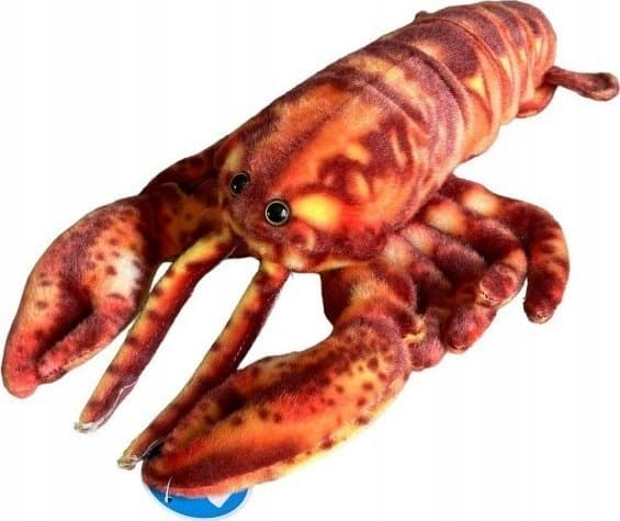 Hummer 28cm