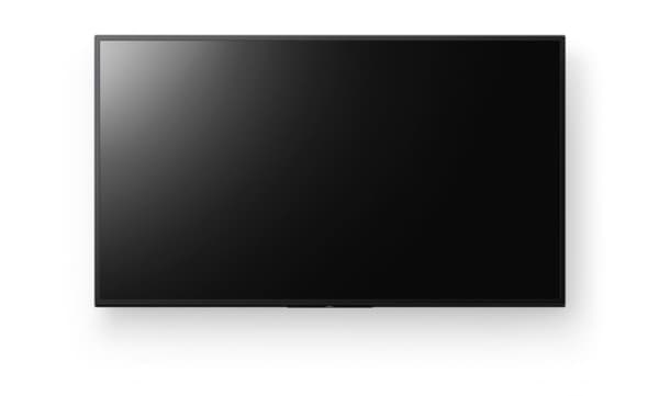 Sony Bravia Professional Displays FW-65BZ30L