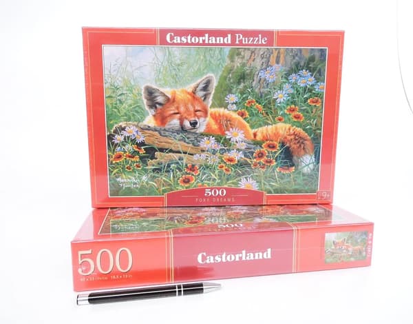 500 palan palapeli B-53872 Foxy Dreams