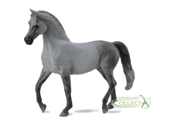 Arabian Mare Masci Grey