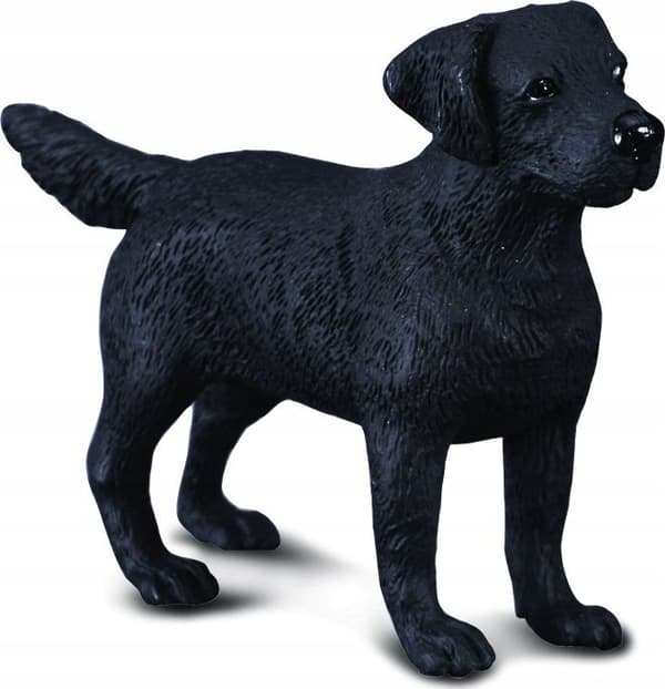 Labradorinnoutaja