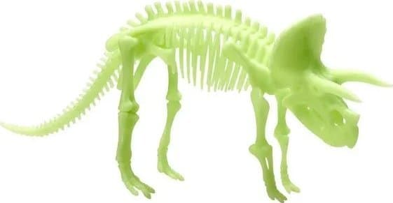 Triceratops-skelett i mörkret