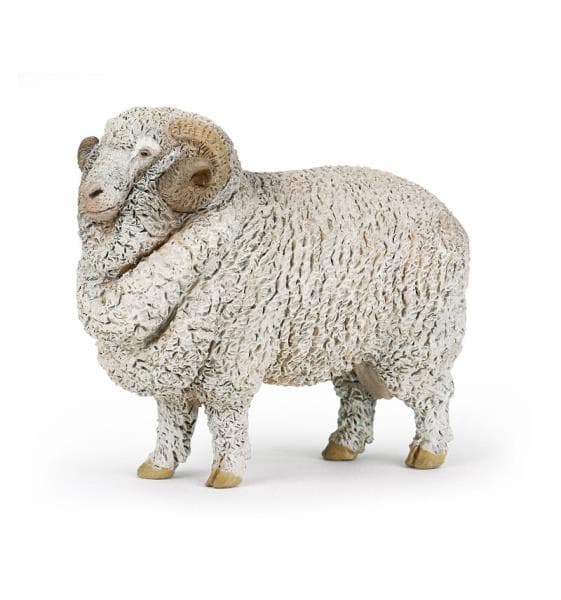 Merino Aries